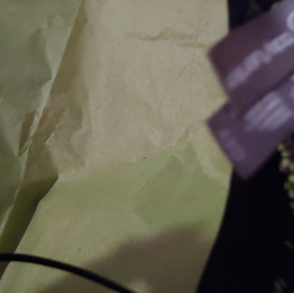 ❤Daisy Fuentes Lovely Floral Mesh Padded Bra NWOT - Picture 4 of 8